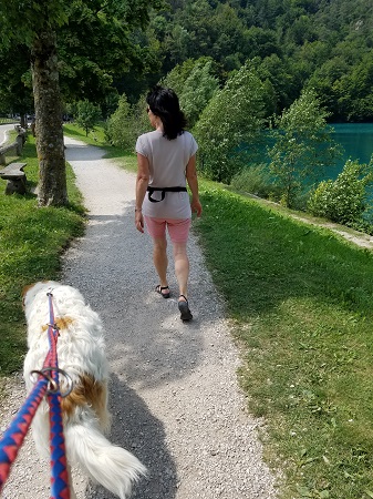 Ledro