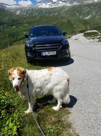 Heimfahrt