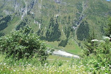 Heimfahrt