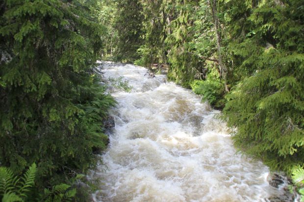 Fulufjället