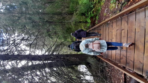 Fulufjället