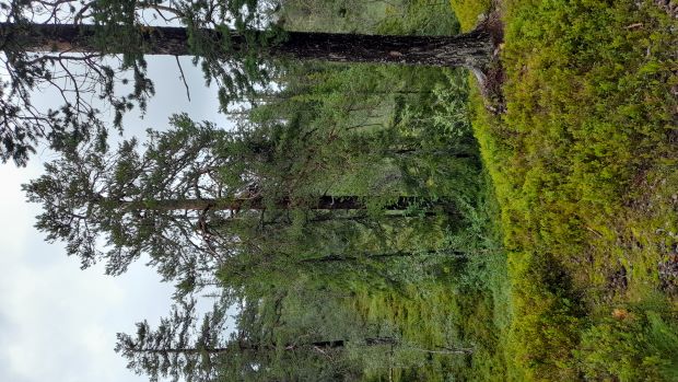 Fulufjället
