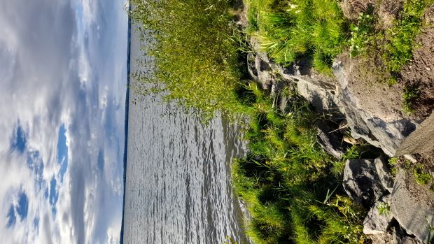 Mariestad