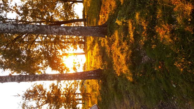Mariestad