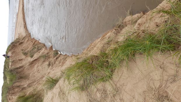 Tylösand