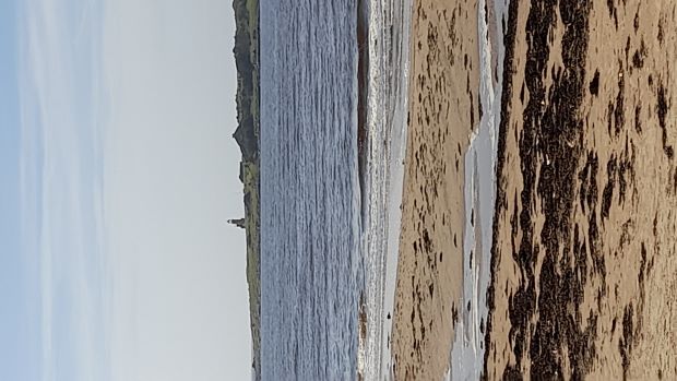 Tylösand