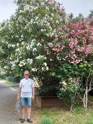 Ich bin klein, Oleander ist groß