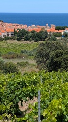 Zwischenhalt mit Blick auf Colliore