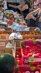 Vitamine aus der Region