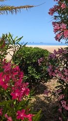 Sommer, Sonne, Strand