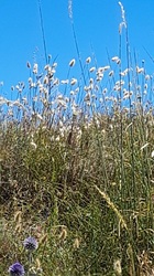 Dünen - wo ist das Wasser?