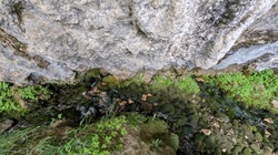Blick in die Schlucht der Le Dard
