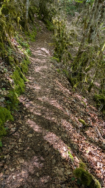 Der Weg - rechts geht's tief runter