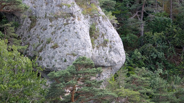Bizarre Felsfiguren 07