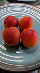 leckere Vitamine