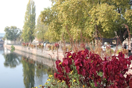 Strasbourg